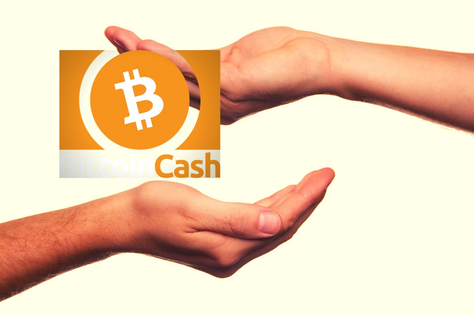 Bitcoin Cash Clothing Charity Expands to 12 Cities Across ...