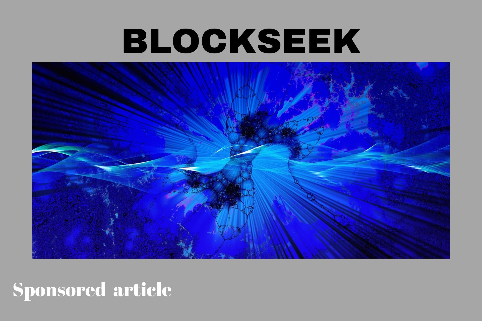 Blockseek hosting platform