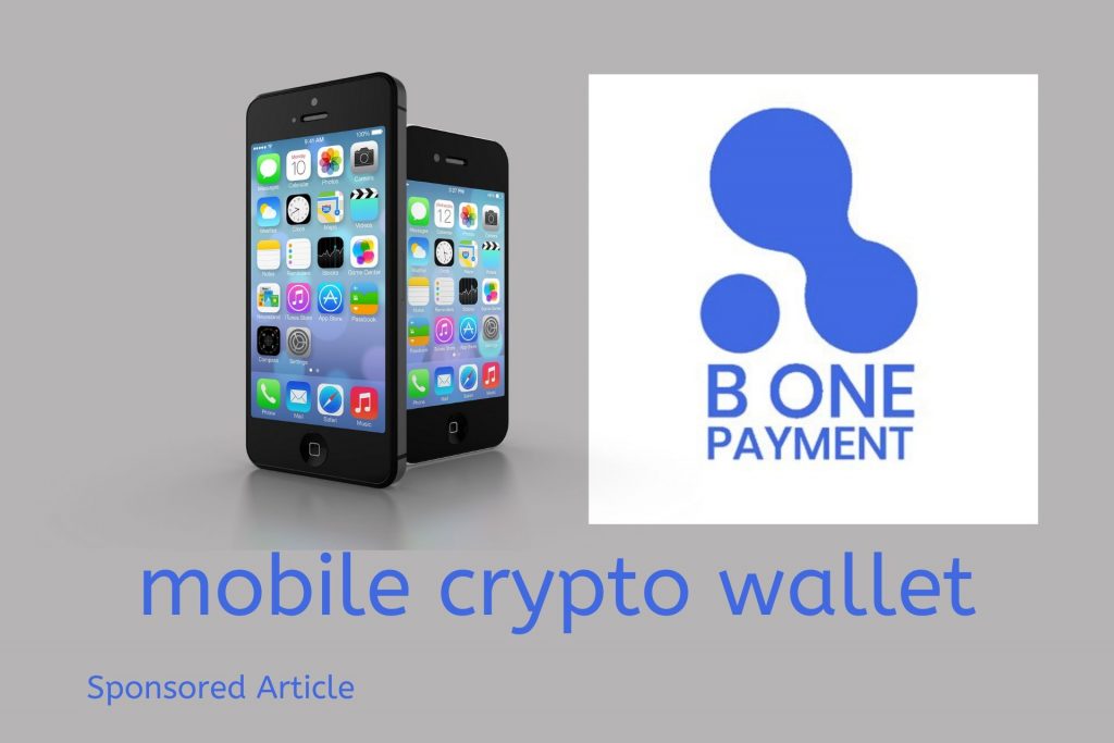 B One Payment