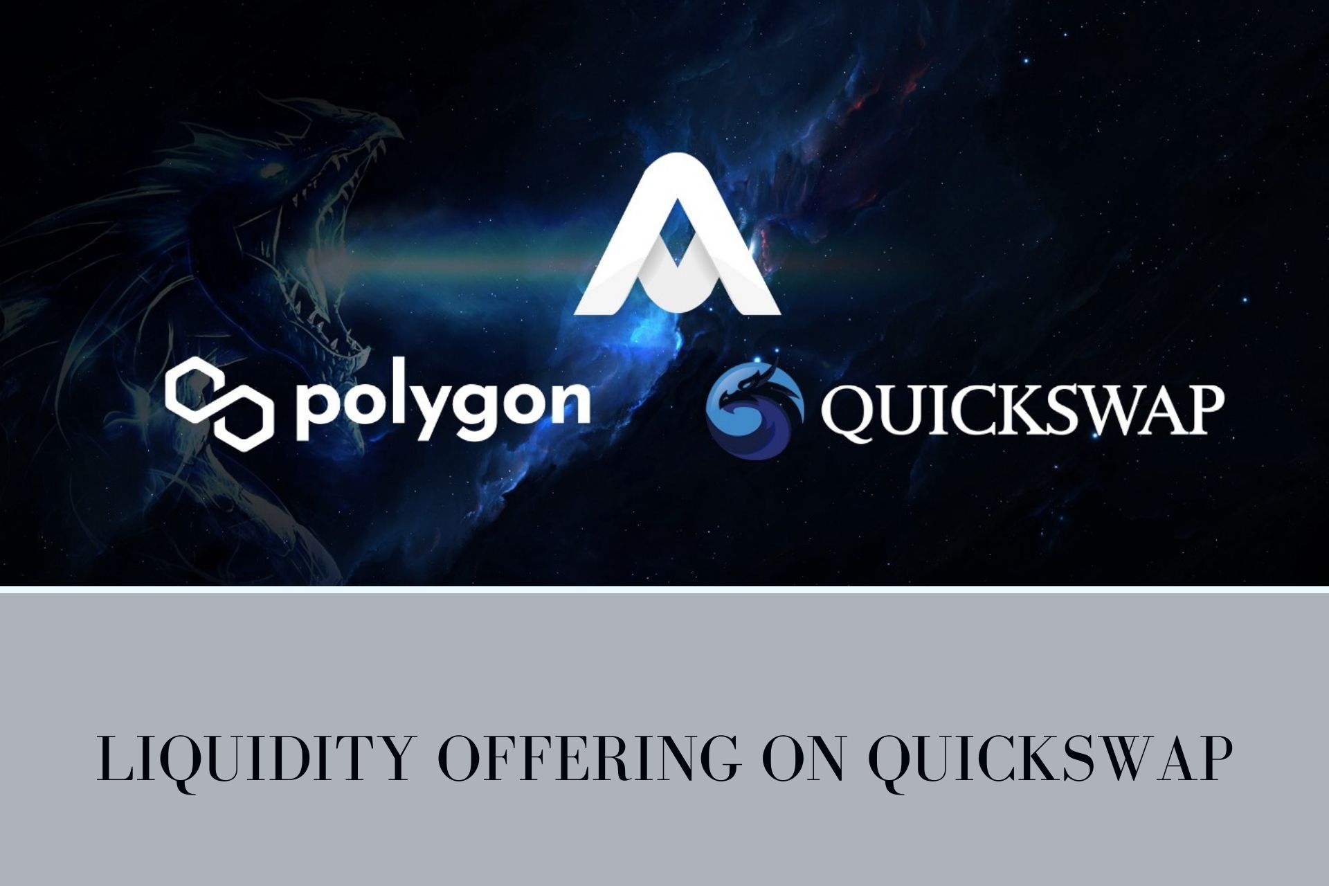 AGA Polygon Liquidity Offering