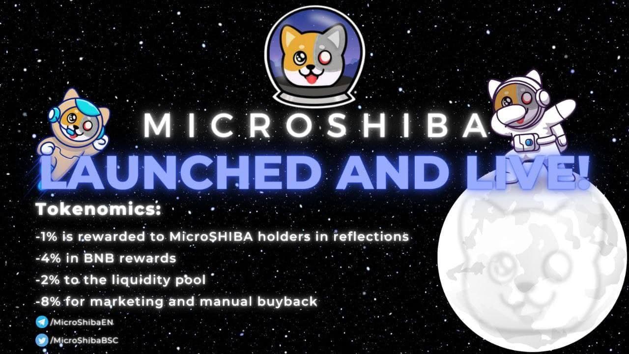MicroShiba1